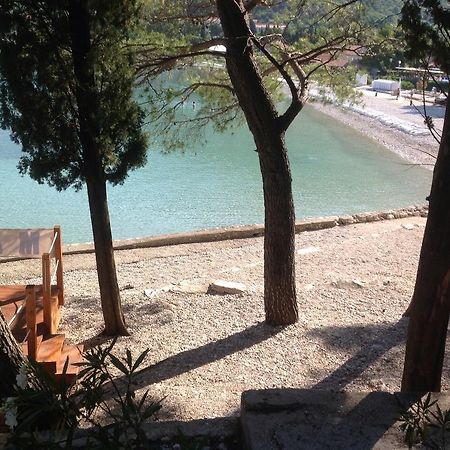 Apartment Biserka Cavtat Pokoj fotografie