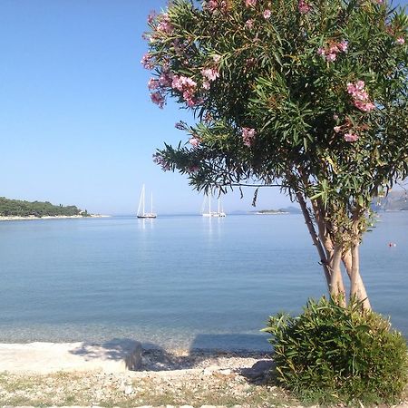 Apartment Biserka Cavtat Pokoj fotografie