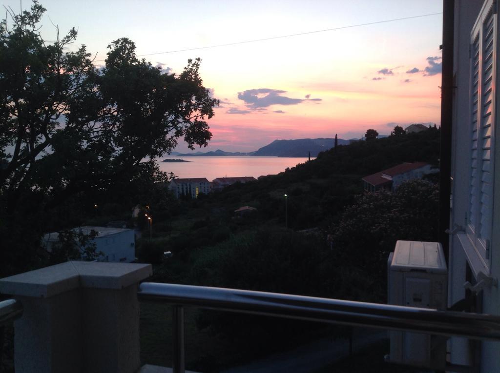 Apartment Biserka Cavtat Pokoj fotografie