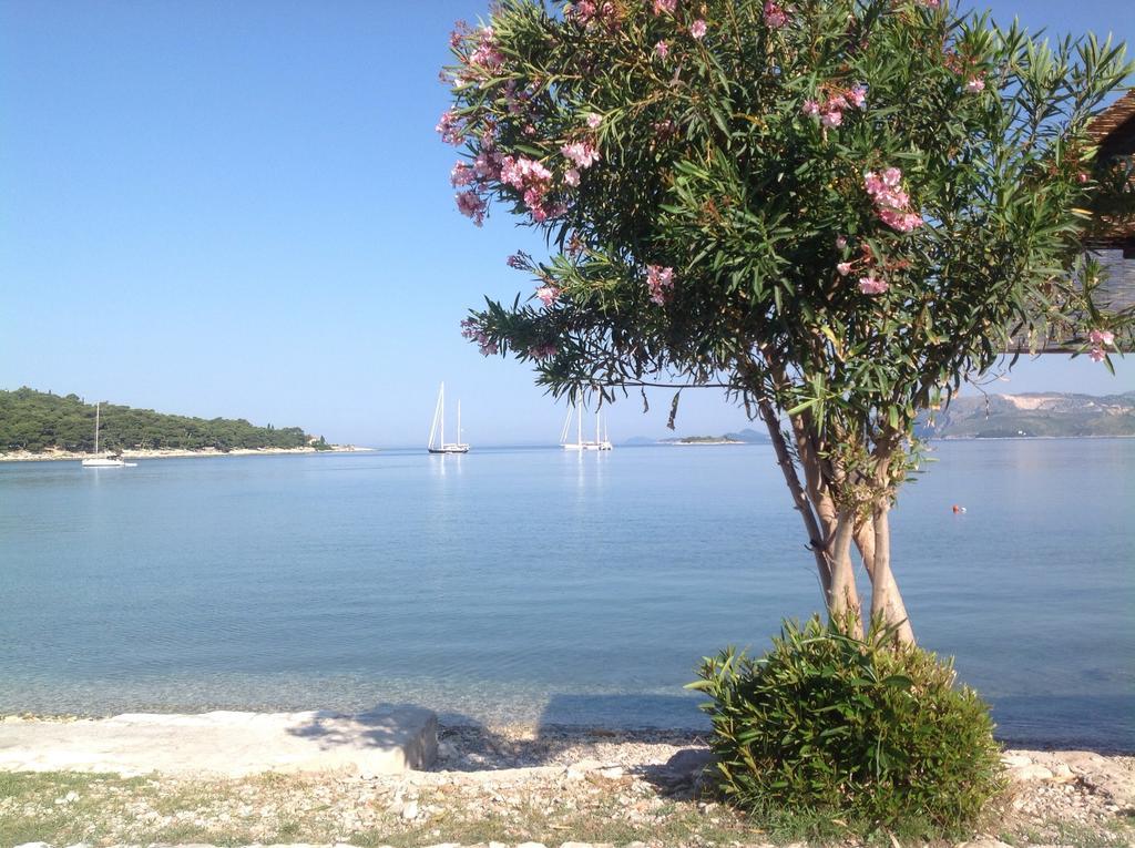 Apartment Biserka Cavtat Pokoj fotografie